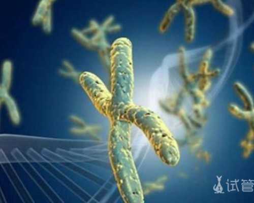 国内可以供卵的三甲医院,全国试管婴儿医院排名哪家好？附排名前三医院名单一览