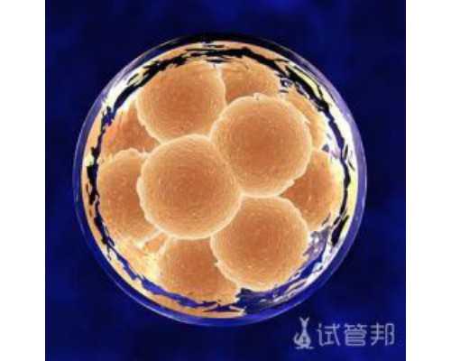 国内大医院哪家供卵最好,泰国试管婴儿(国内试管婴儿)