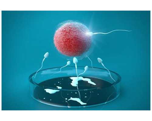 中国捐卵试管多少钱,试管婴儿移植后多久着床