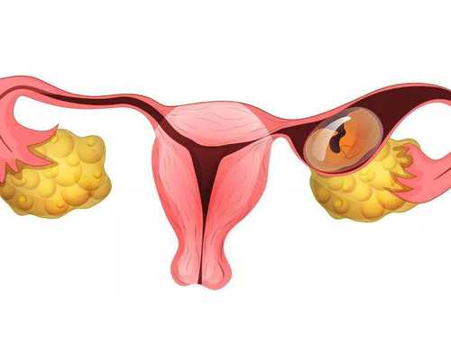 中国授权供卵机构名单,每当佳节“胖三斤”，教你新年怎么饮食，故