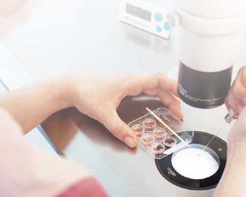 国内代孕的中介有哪些,试管婴儿技术会影响孩子寿命吗，可能会存在这些并发症