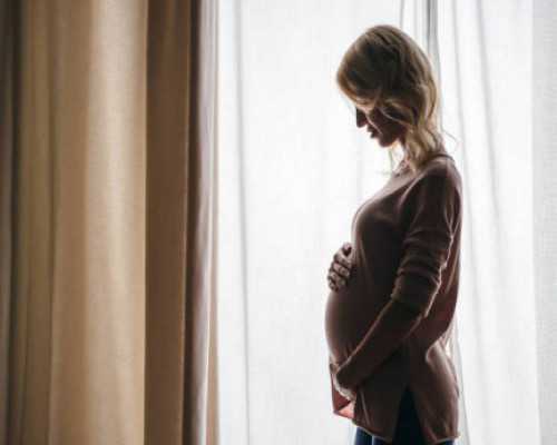 国内合作供卵,惠氏启赋奶粉真假辨别方法(惠氏启赋奶粉真伪查询)