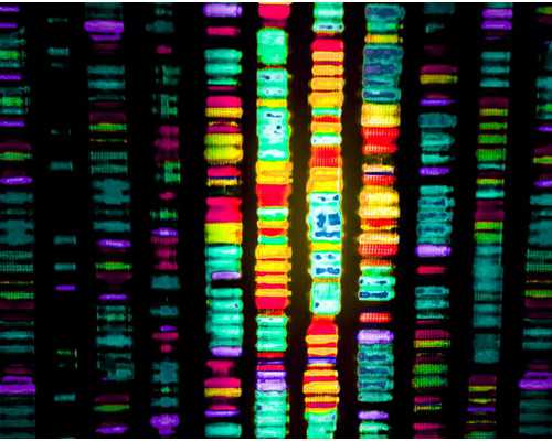 国内代生包成功,2025最新第三代试管婴儿包生男孩费用需要多少？