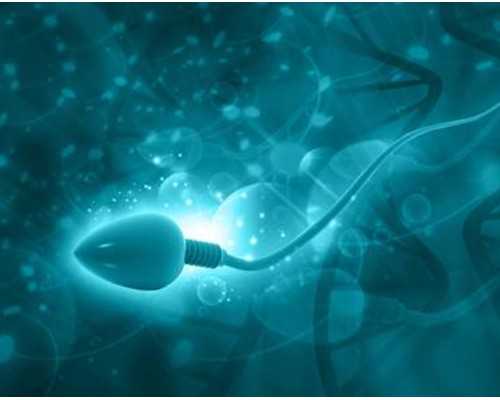 国内助孕供卵,国内可不可以买混血*(人工受孕混血儿价格分享)