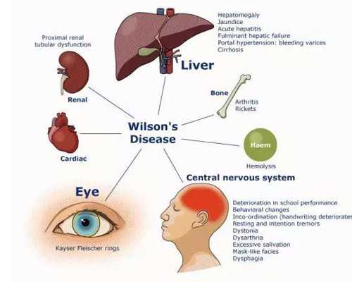国内哪些医院供卵比较好,未婚女子能做试管婴儿吗(染色体问题做三代试管成功率高多少)