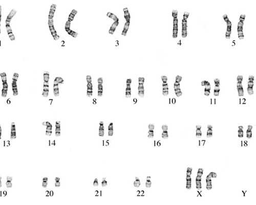 中国供精供卵费用多少,单身女人要花多少钱，会很贵吗？