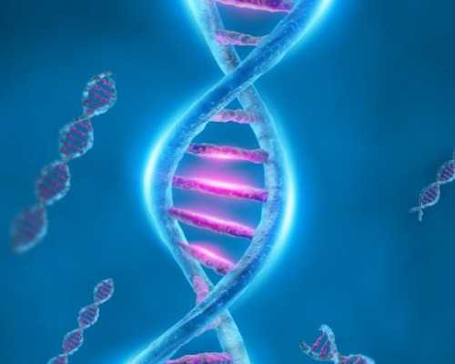 国内代怀上门洽谈,淮安一院试管到底怎么样看看它的成功率和费用就知道了