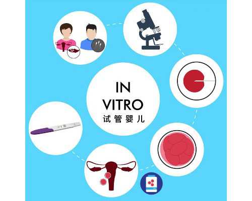 国内哪个医院可以做供卵手术,2025年去厦门市妇幼保健院做试管婴儿多少钱?