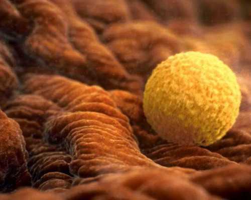 国内代怀生子网,亳州试管婴儿医院大全(2025三代试管费用与*率排名)