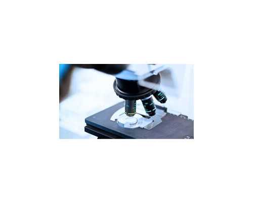 国内供卵试管付款流程,得了盆腔炎吃食物有什么禁忌吗？