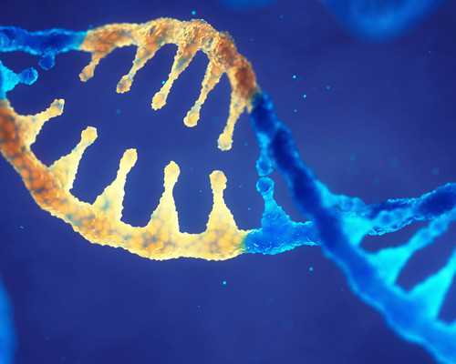 国内供卵做试管的医院,试管移植双胎妊娠反应？妊娠中毒症是什么