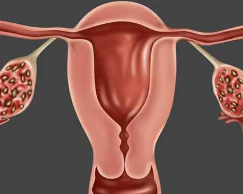 国内代生宝宝机构,自费流脑疫苗各地费用 流脑疫苗自费和免费的区别