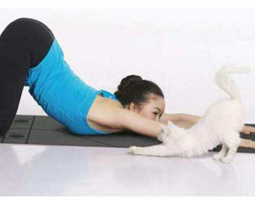 国内辅助代怀,解说一下【南京三代试管机构】