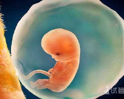 国内正规供卵试管,大家知道播种网吗？那些试管婴儿经验、攻略可信吗？