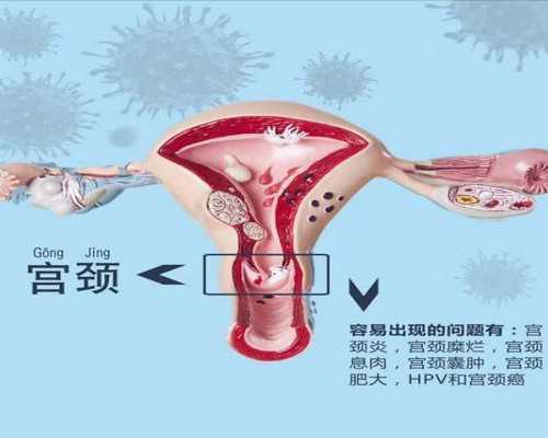国内试管代怀咨询,amh值偏低如何恢复