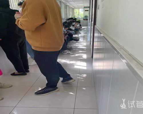 国内供卵代怀孩子,不单单是着床率高!选择囊胚移植还有这4大优势