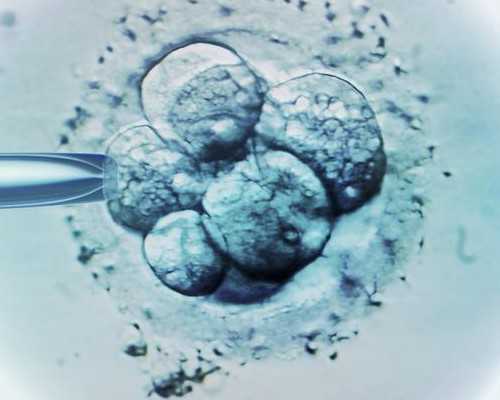 中国有资质的供卵机构有几家,试管技术对新生儿健康有影响吗，试管婴儿技术安全性解读