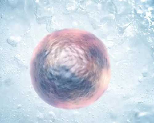 泰国试管婴儿哪家医院好！费用明细清解析！ 供卵助孕机构有哪几家