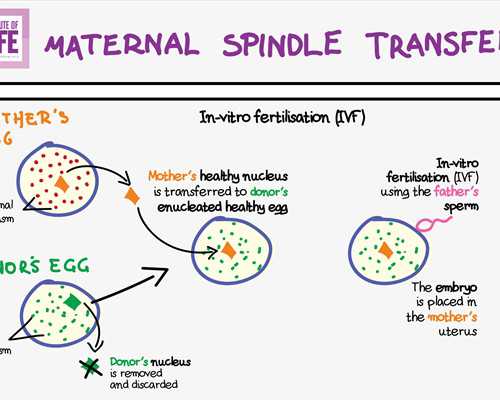 国内代生包成功,三代试管婴儿怎么计算周期,三代试管怎么计算预产期