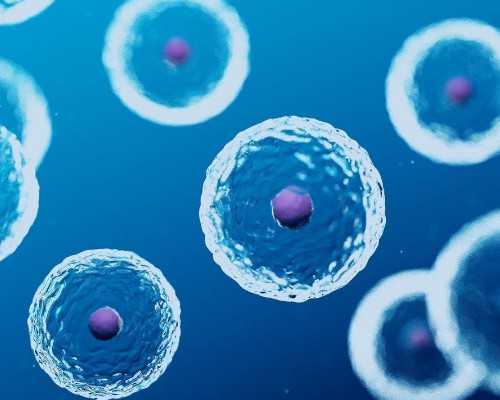 全国哪个医院有供卵,三代试管多少钱？附流程一览