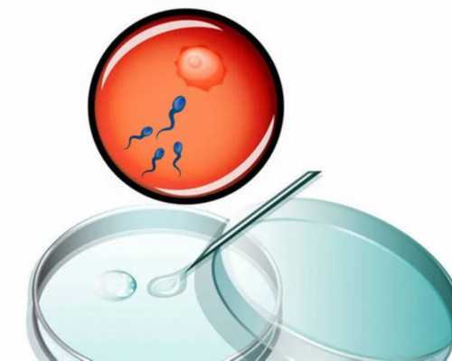 国内试管供卵生子几率,*试管是啥意思 *试管什么时候能移植