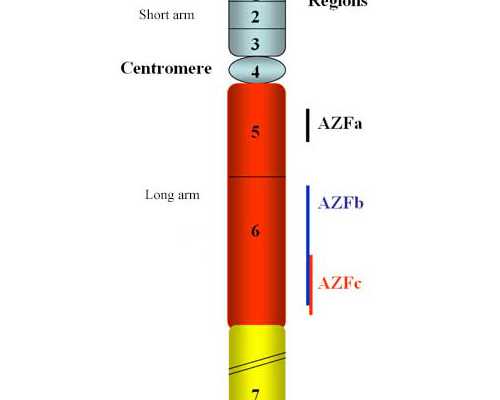 国内代生宝宝费用,平衡易位做三代试管成功率高吗？内附成功经验分享