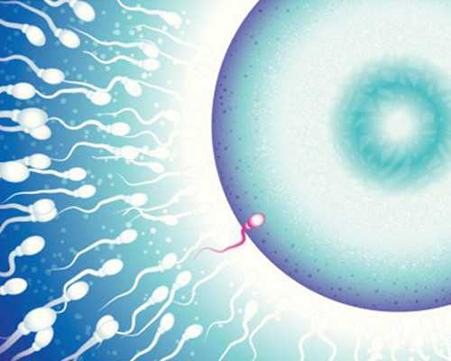 全国代孕联系方式,初生婴儿奶粉哪款更好这有推荐,口碑好的国产品牌任挑 全国代孕联系方式,初生婴儿奶粉哪款更好这有推荐,口碑好的国产品牌任挑