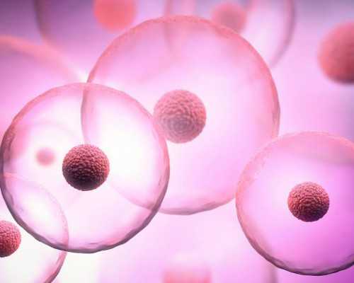 国内哪家医院可以做供卵手术,池州哪所试管医院比较好