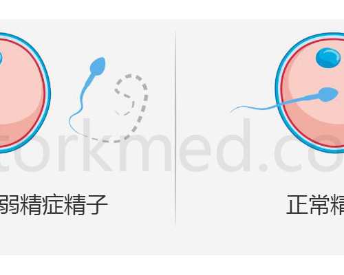 国内代生公司地址,湖南三代试管助孕生子机构哪家强