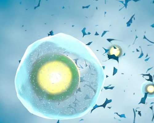 国内靠谱代孕网,没有卵子能做试管婴儿？卵子特别少影响试管的*率吗？