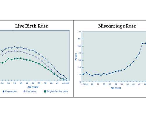 怎么才能有优势卵泡？饮食、运动都有效果 供卵助孕哪家医院好些