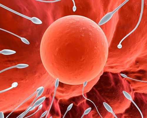 国内代生孩子,多胎妊娠很危险！胚胎移植几个合适进来看看