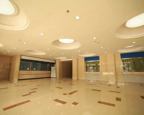 国内靠谱代孕公司,特尔津的适应症有哪些速览，为什么不能化疗前用一看便知