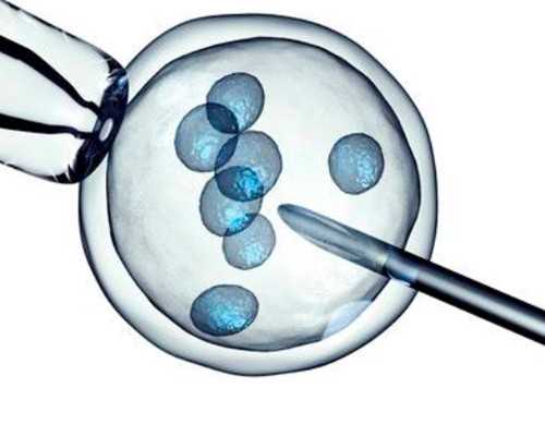 国内供卵自怀,amh检查多少钱？银川市妇幼保健院试管婴儿多少钱？