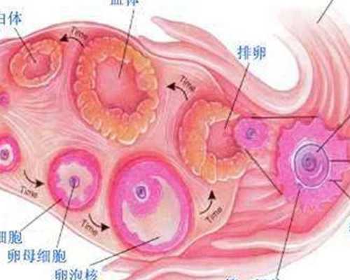 国内试管供卵代生医院,全国比较权威试管医院排名