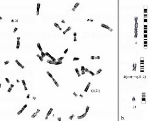 全国好的供卵医院在哪里,女人借别人肚子生孩子大概要多少钱,附费用明细!