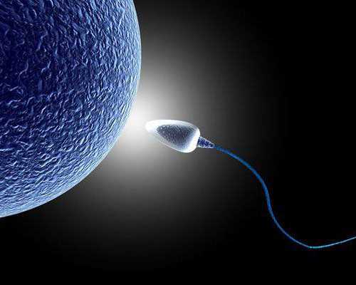 国内代生费用多少,抗精子抗体阳性放宽心!3种治疗方法帮助你好孕