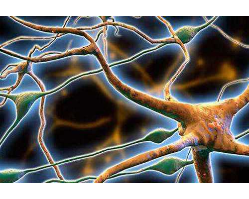 国内供卵试管项目有哪些,没有怀孕可以喝固肾安胎丸吗？怀孕初期吃固肾安胎丸会上火吗？