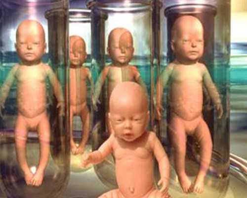 国内代孕的公司有哪些,做试管婴儿前的调理怎么做？试管手术前怎么调理身体