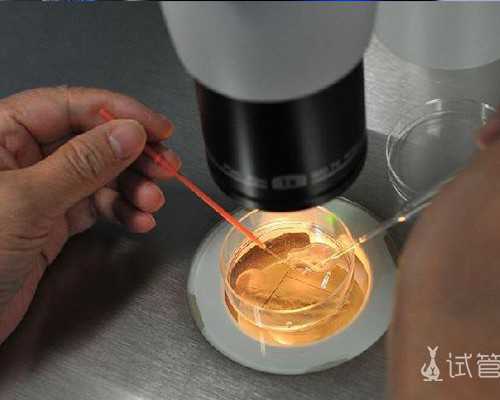 国内供卵不用等的医院有哪些,「河南省人民医院试管婴儿成功率」河南省人民医院试管婴儿成功率高吗