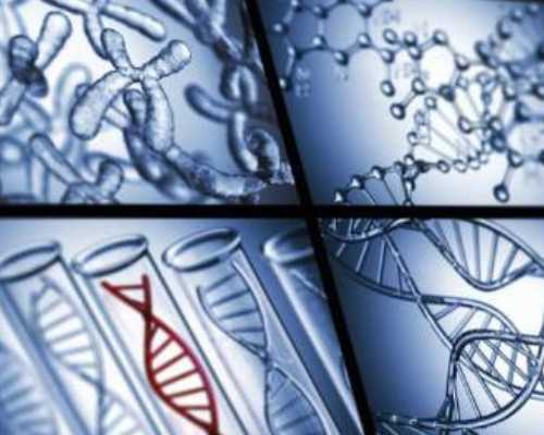 国内供卵试管选男女多少钱,国内去日本做三代试管*子大概要花费多少钱