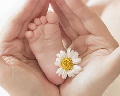 全国供卵试管婴儿医院有哪些,试管婴儿移植后症状.